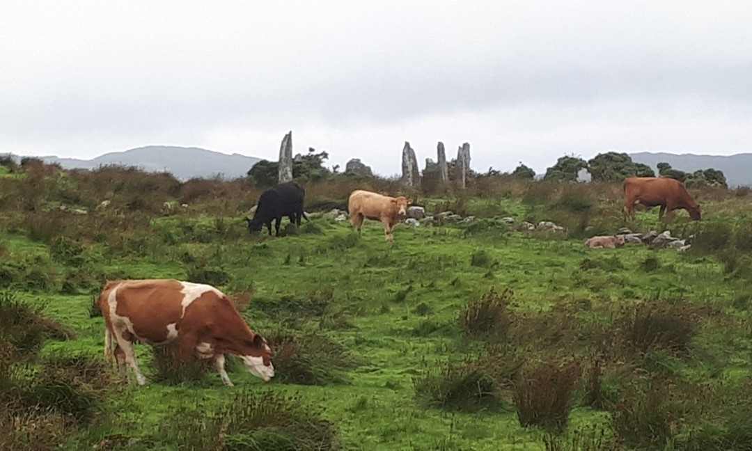 Kealkill Megalithic Stone Circle and Standing Stones-Bantry必去景点