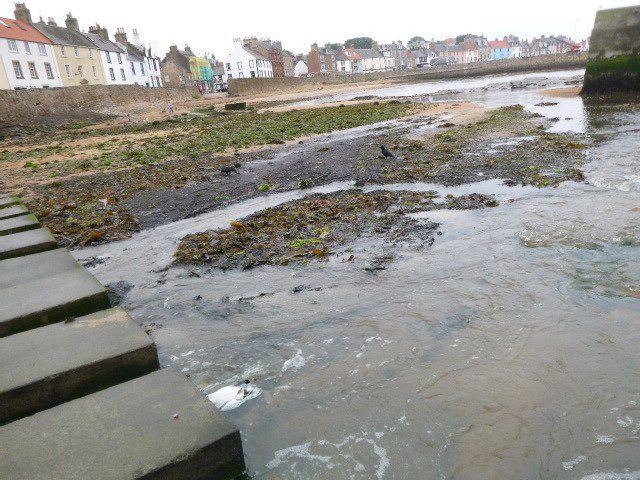 Billow Ness Beach-Anstruther必去景点
