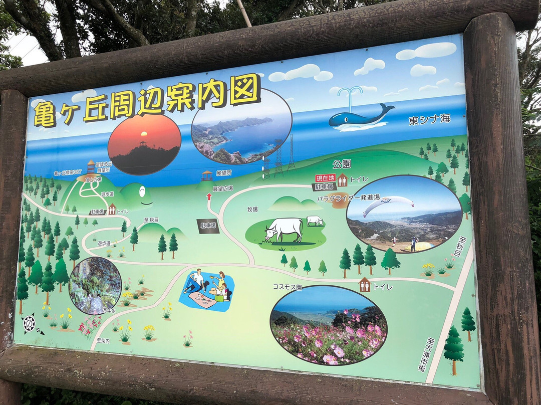 Mt. Kamegaoka景点图片