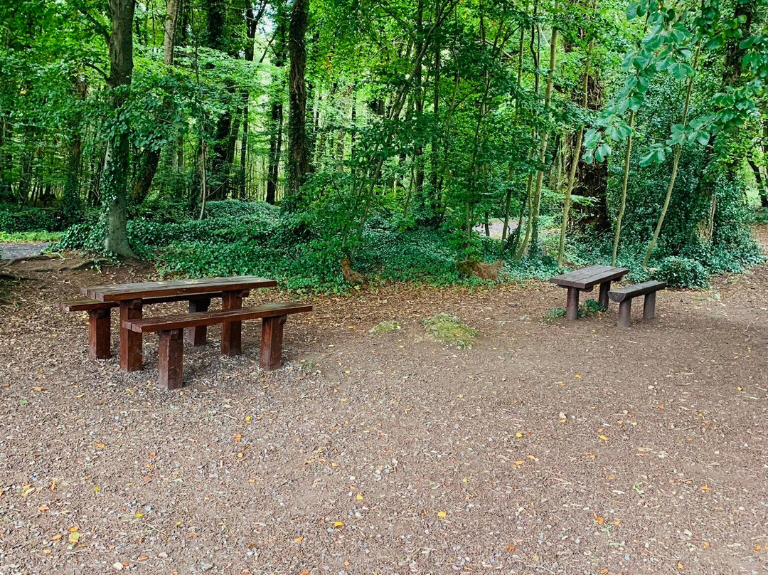 Newcastle Wood-Ballymahon必去景点