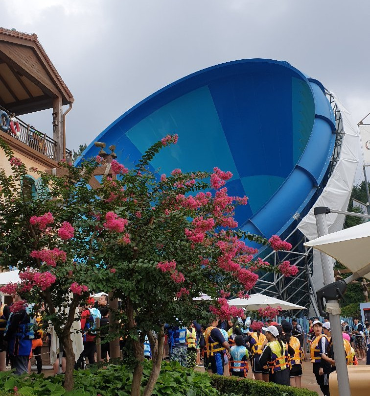 Caribbean Bay-龙仁市必去景点