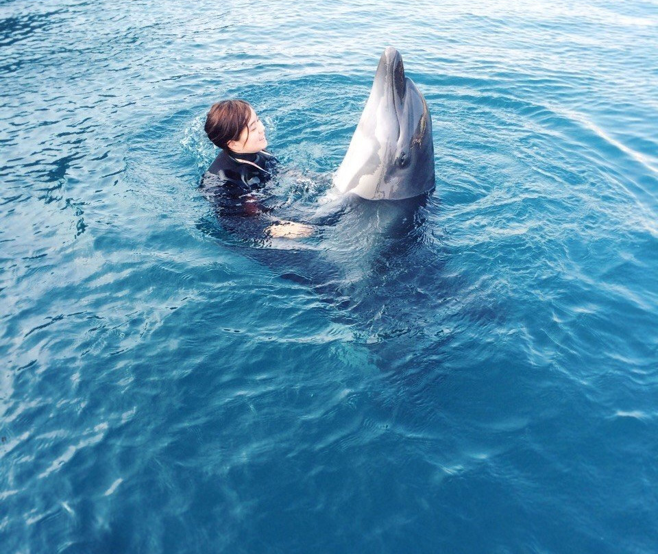 Muroto Dolphins Center-室户市必去景点