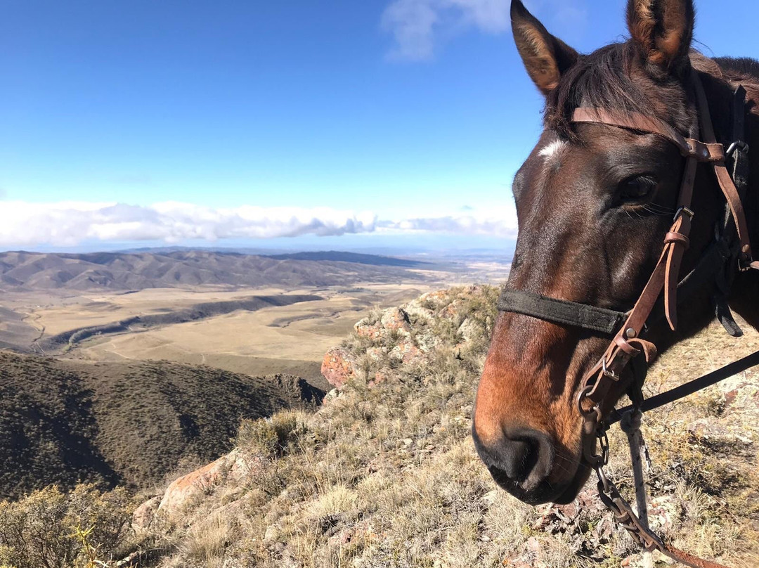 Founder Ranch-Edgewood必去景点