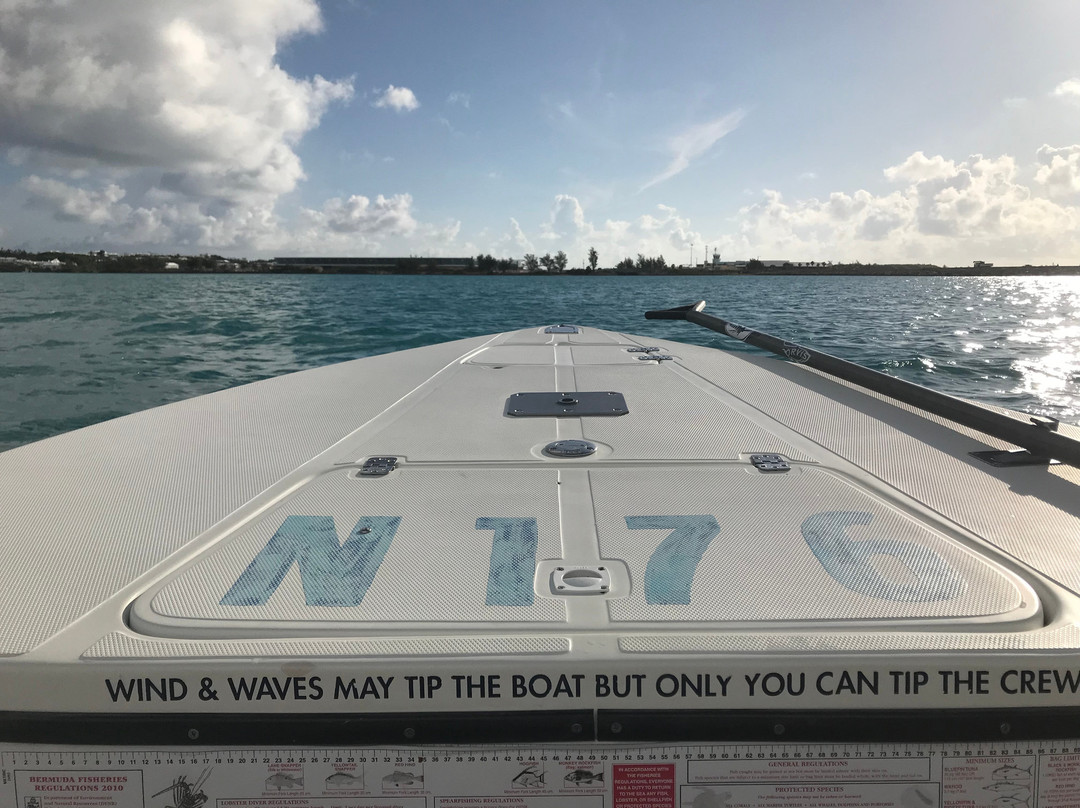 Jump Dem Bones Flyfishing-汉密尔顿必去景点