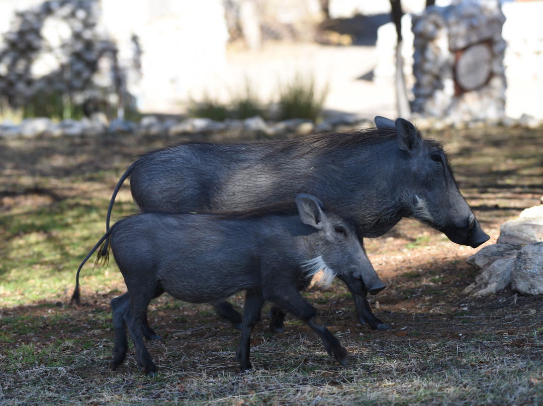 穆沙拉前哨营地主图