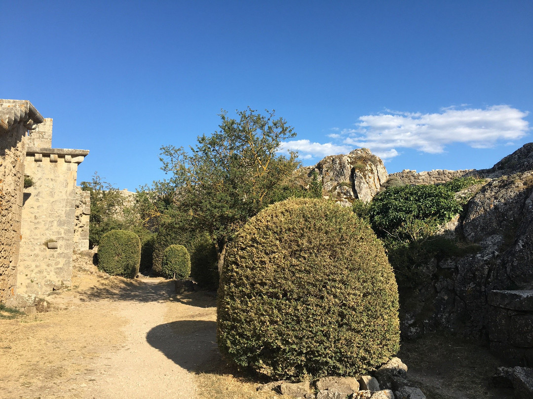 Chateau de Peyrepertuse景点图片