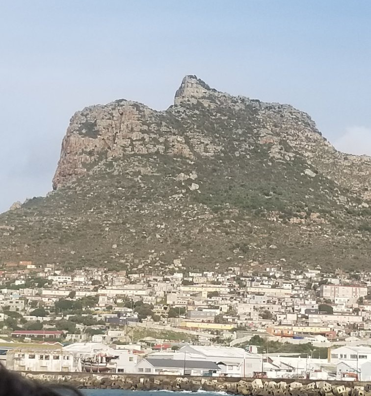 Wild Journeys-尼斯普鲁特必去景点