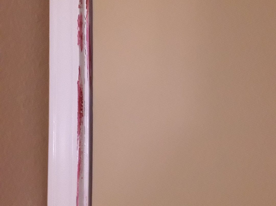 Quality Inn & Suites Hot Springs-Lake Hamilton主图