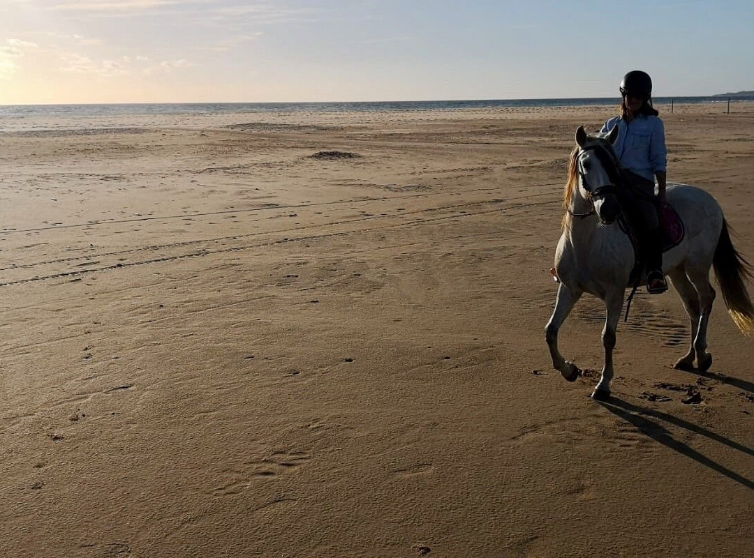 Aventura Ecuestre-塔里法必去景点