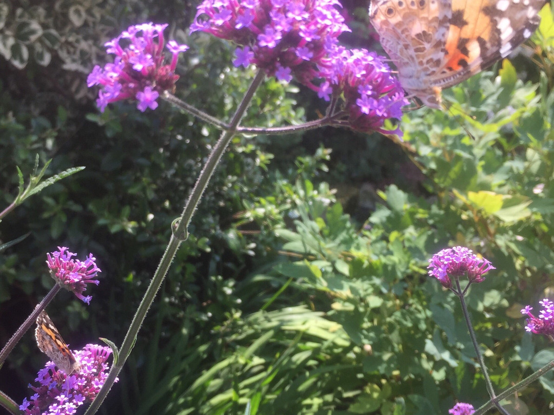 Moore Nature Reserve-沃灵顿必去景点