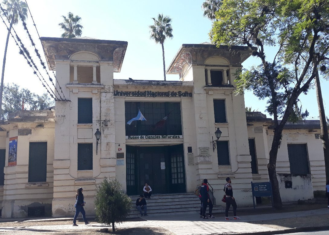 Museo de Ciencias Naturales景点图片