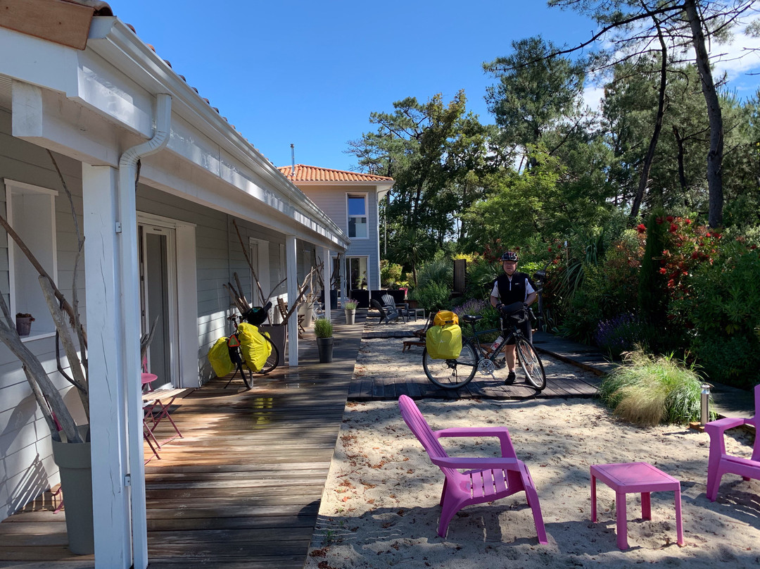 Au Jardin des Libellules主图