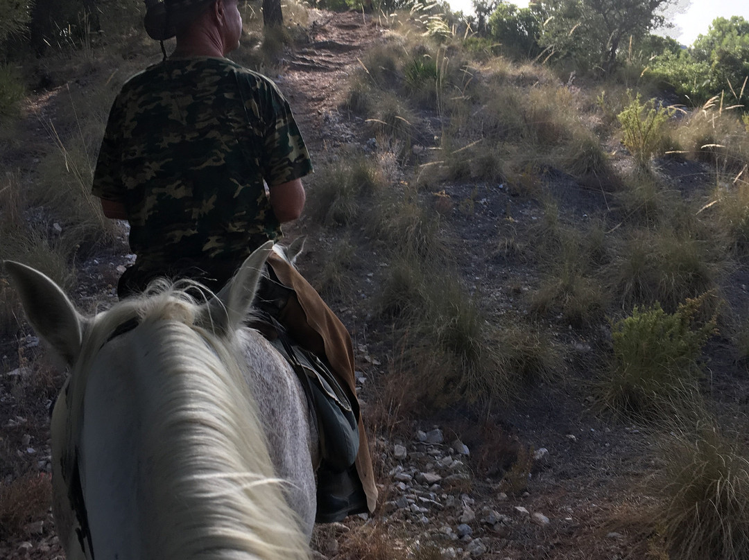 Ride With Me, Ride In Spain景点图片