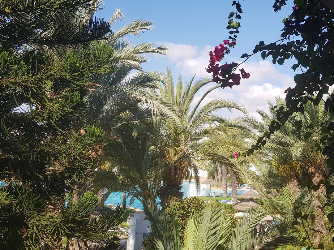 Djerba Resort主图
