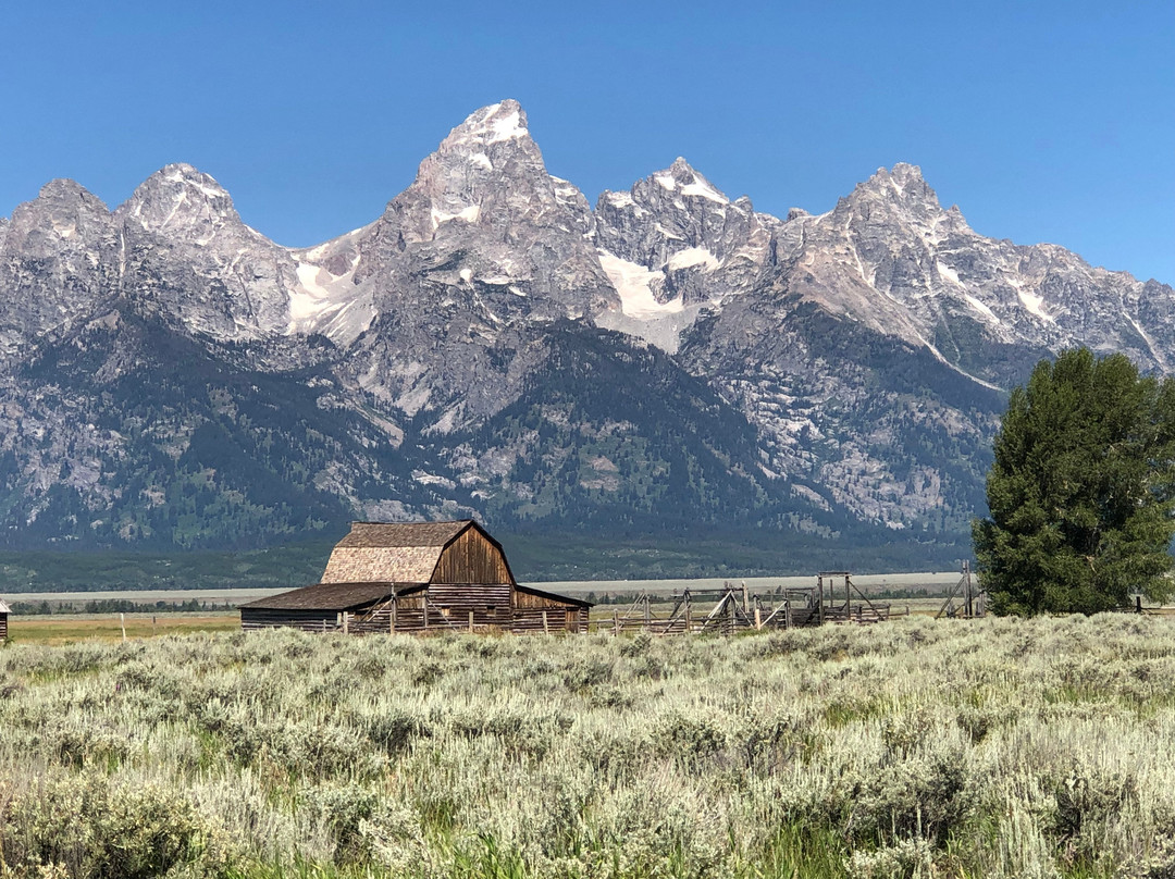 UpStream Anglers and Outdoor Adventures-杰克逊必去景点