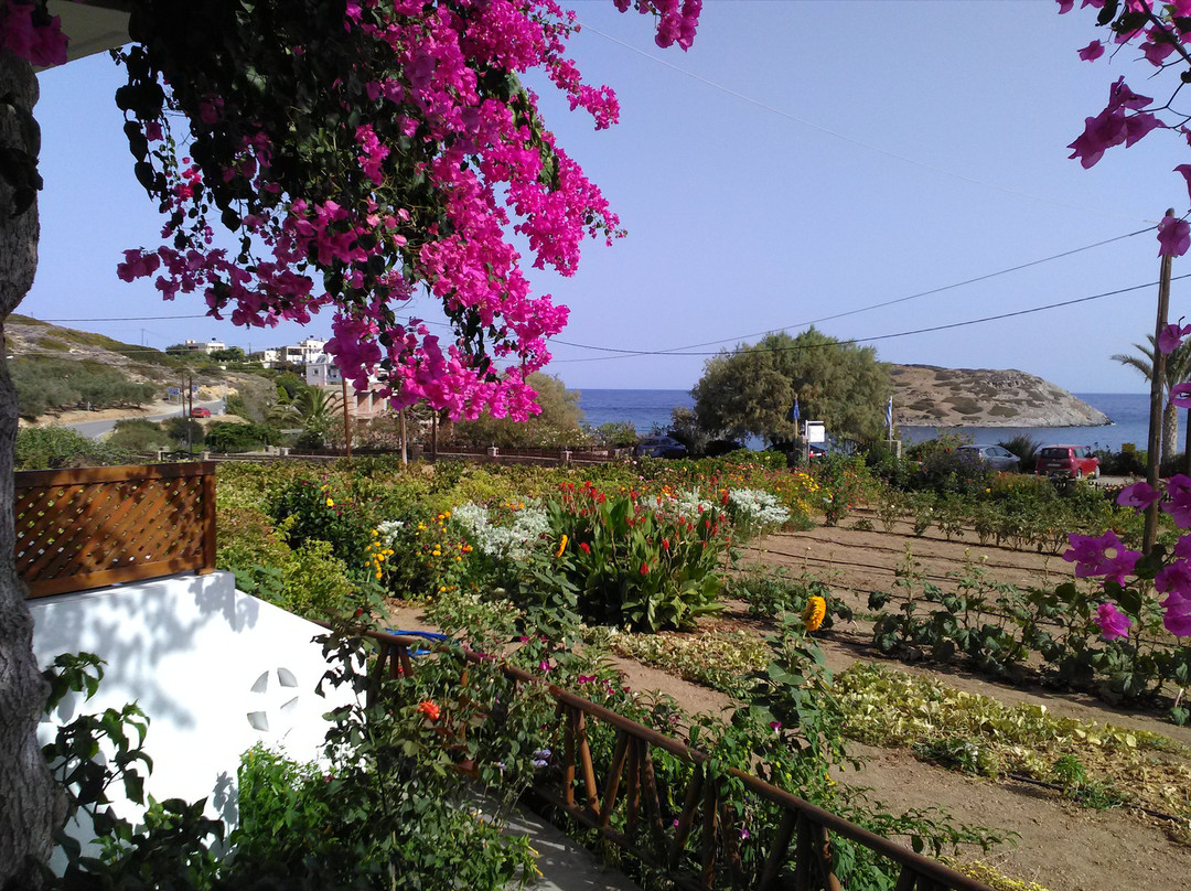 Mochlos Mare Apartments主图