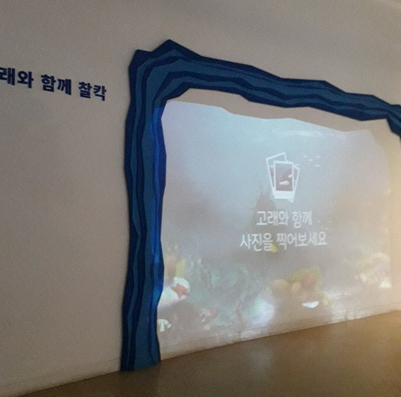 Jangsaengpo Special Whale Culture Zone-蔚山必去景点