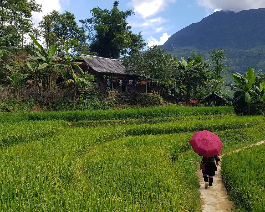SaPa Farmer House主图