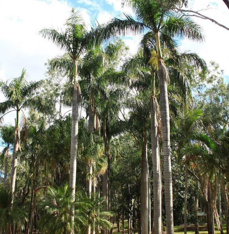 Botanic Gardens-Emerald必去景点