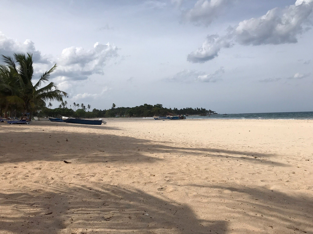 Esha Beach Resort主图