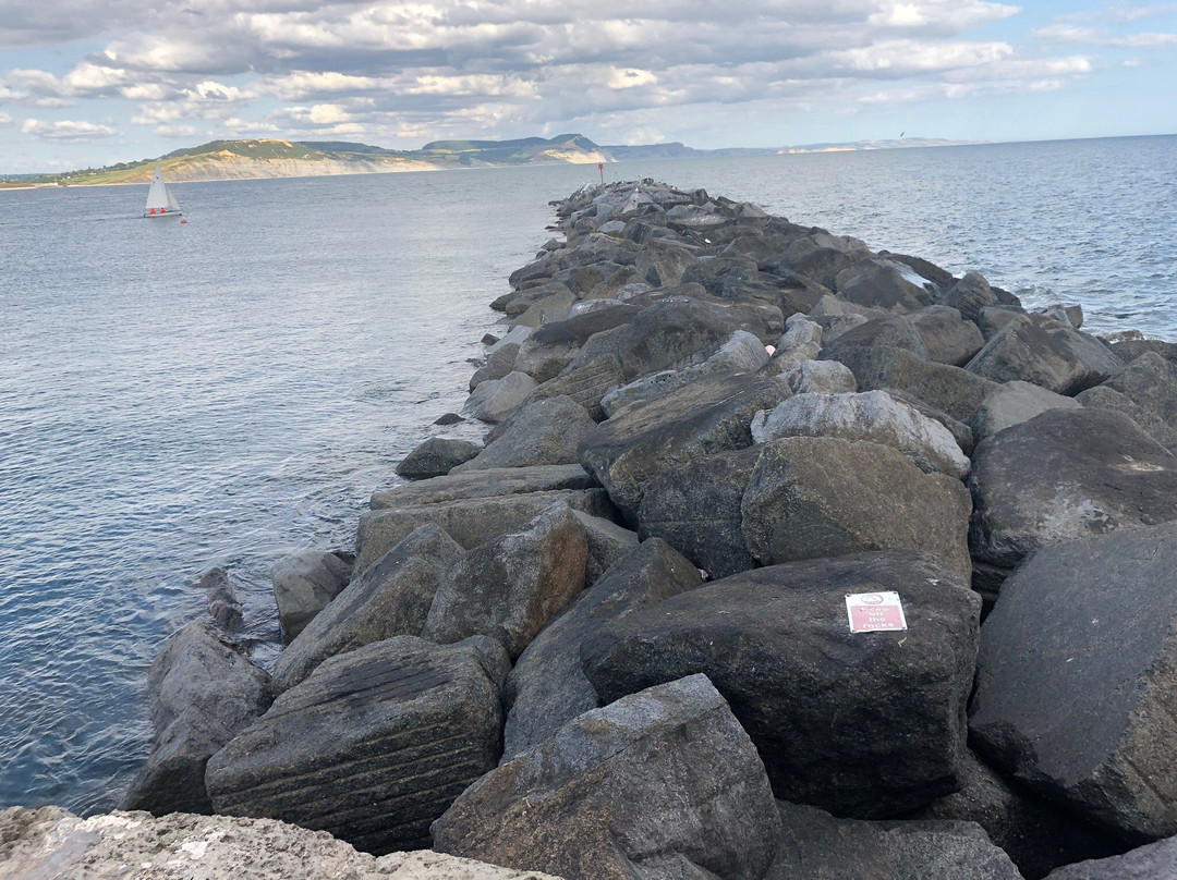 Lyme Regis Undercliff景点图片