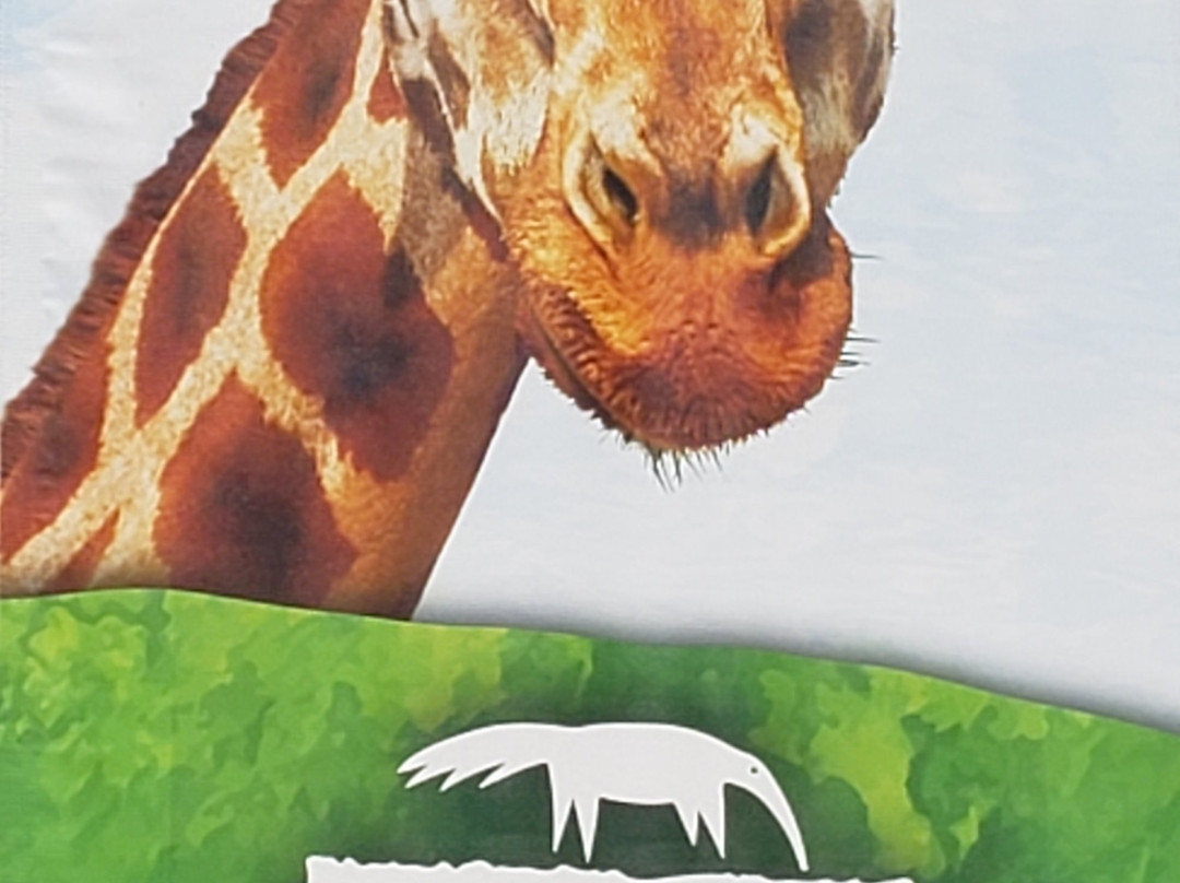 Reid Park Zoo-图森必去景点