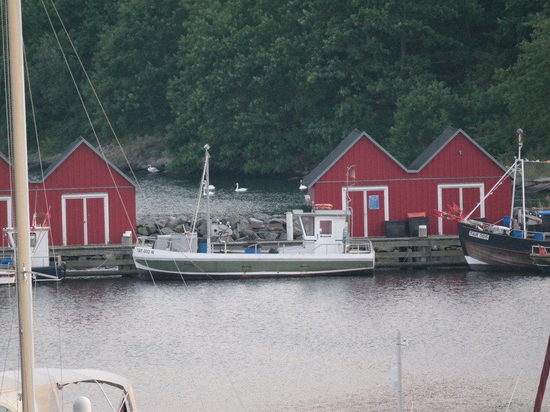 Fischereihafen Boltenhagen景点图片