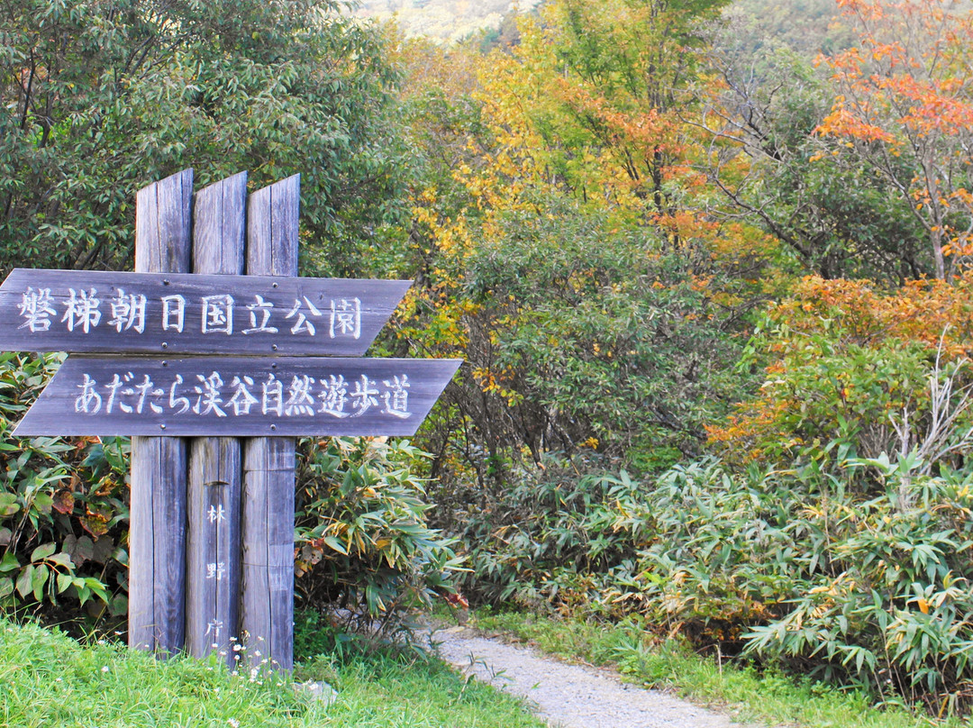Adatara Valley Okudake Natural Trail景点图片