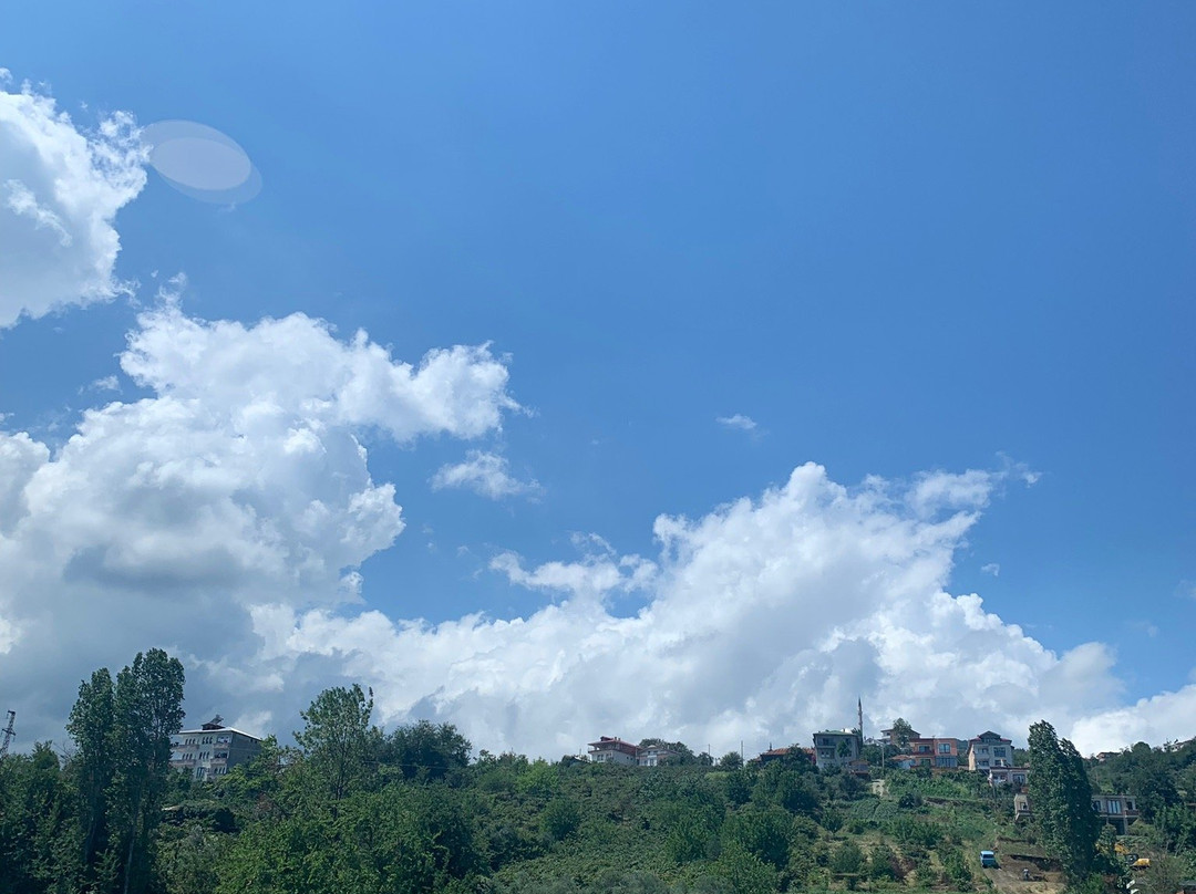 Tilya Resort Hotel主图