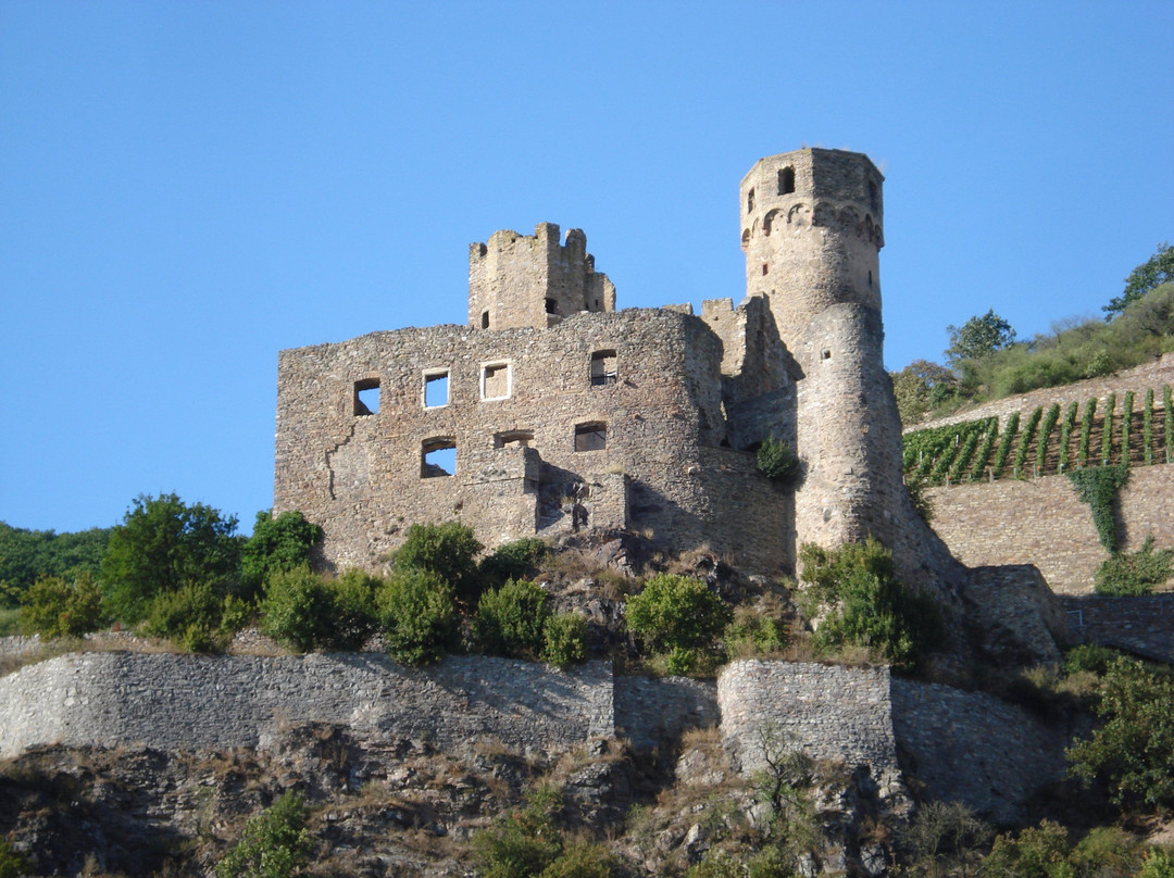 Burg Ehrenfels-吕德斯海姆必去景点