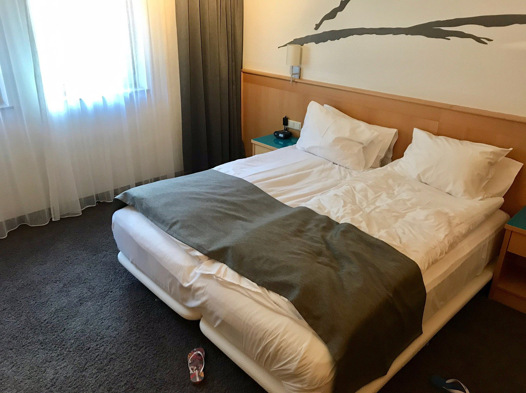 施拉德明酒店住宿-Alpine Club
