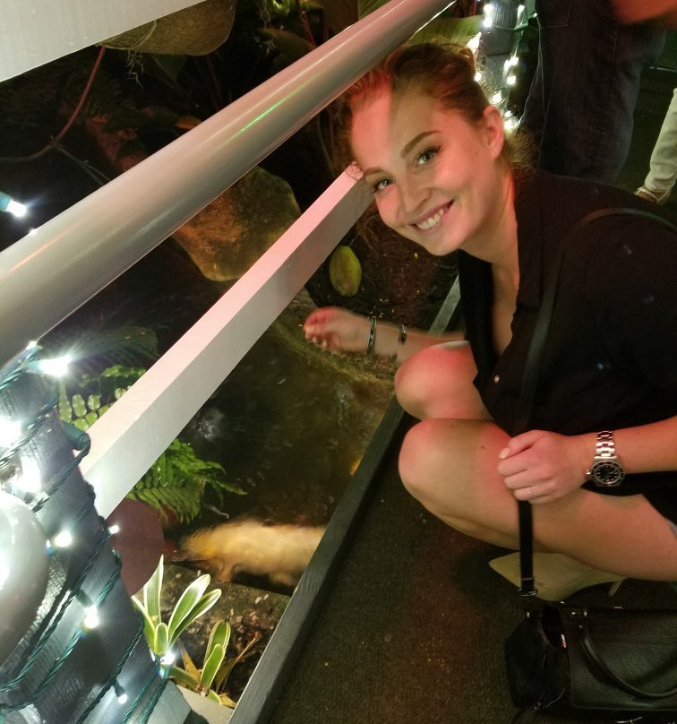 15th Street Fisheries-劳德代尔堡必去景点