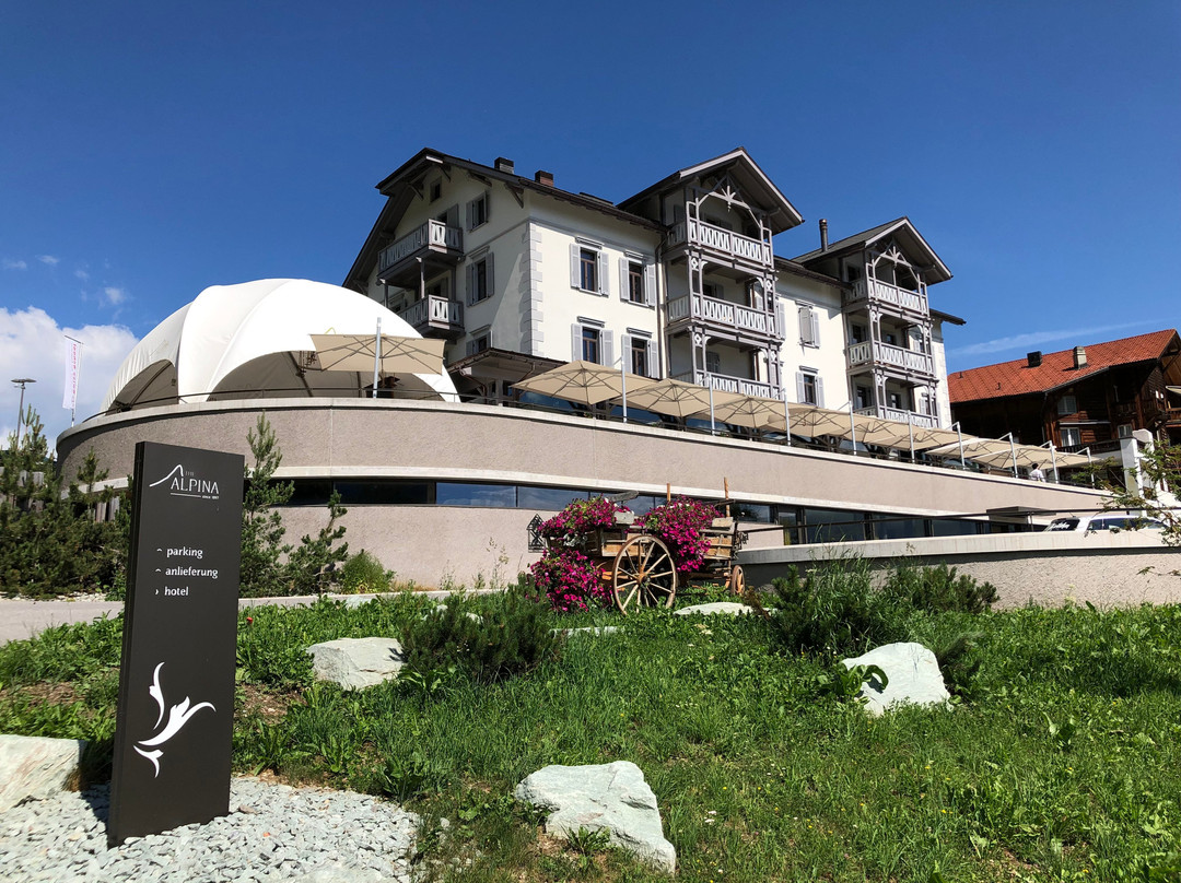 The Alpina Mountain Resort主图