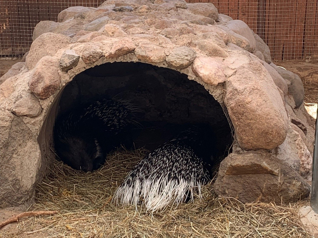 mini Zoo-Iecava必去景点