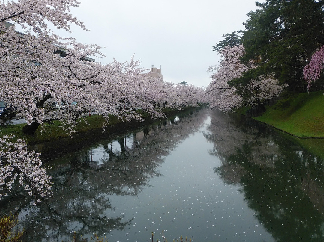 Hirosaki Cherry Blossom Festival-弘前市必去景点