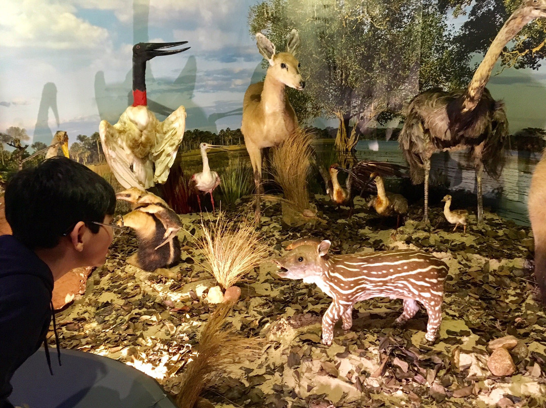 Itaipu Natureza-伊瓜苏必去景点