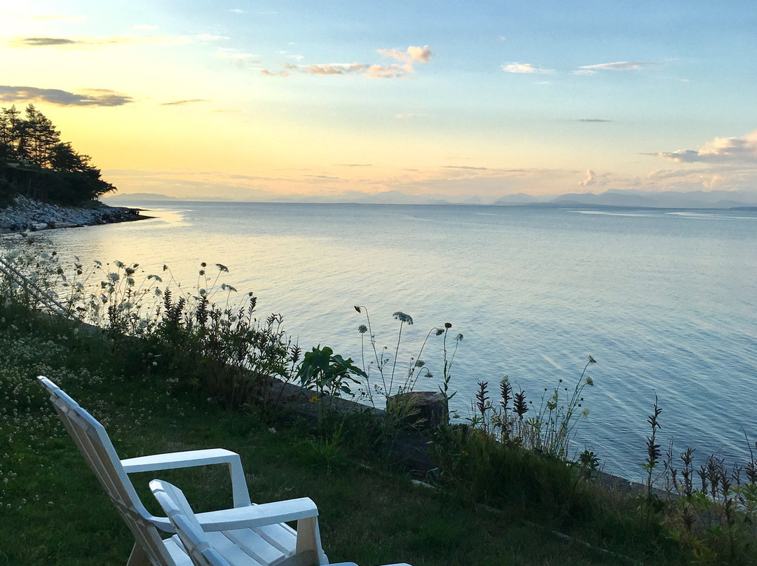 Bella's Beachfront B&B主图