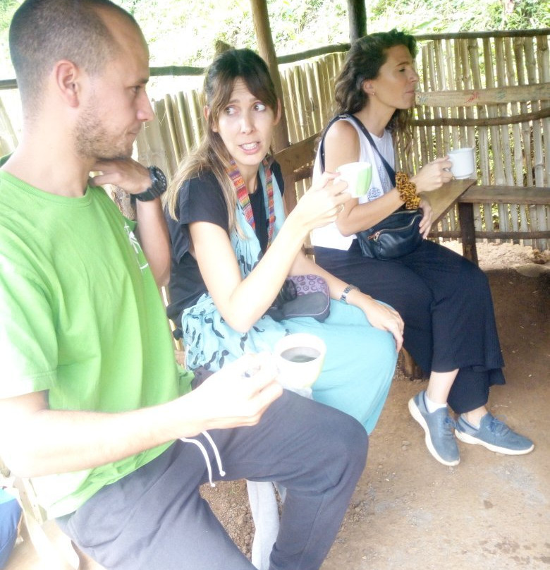 Coffee Tour - Day Tours-托伯莫里必去景点