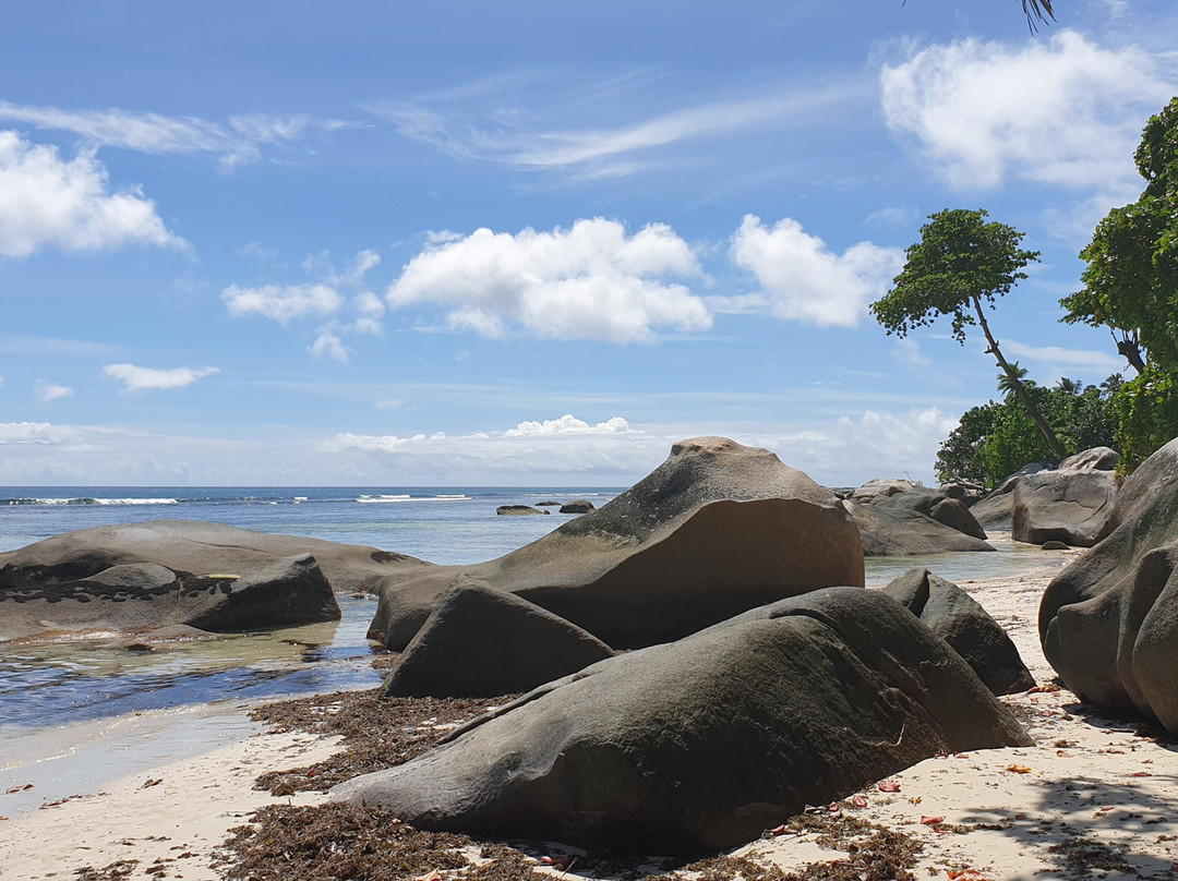 The Beach House主图