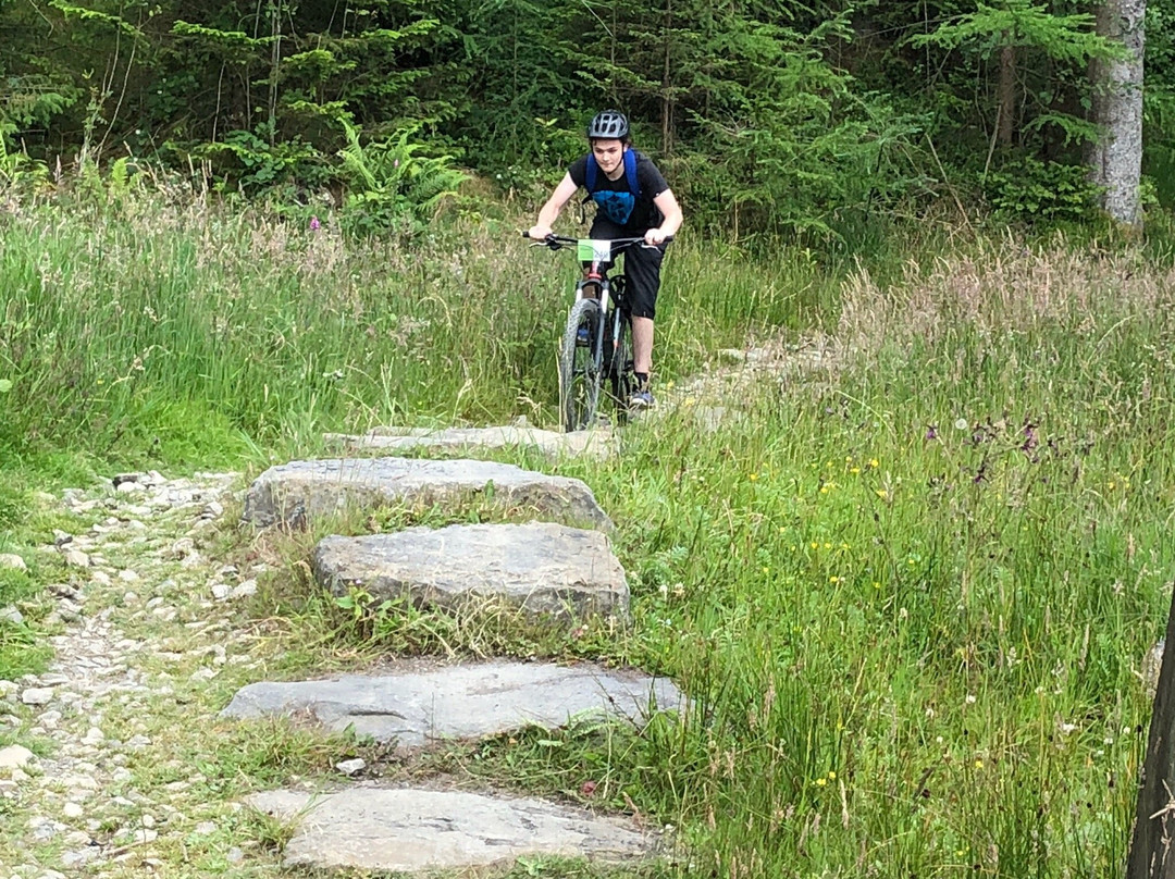 Grizedale Mountain Bikes景点图片