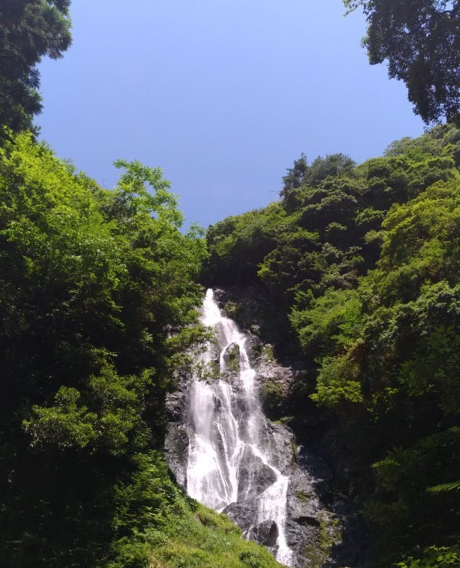 Kamba Falls景点图片