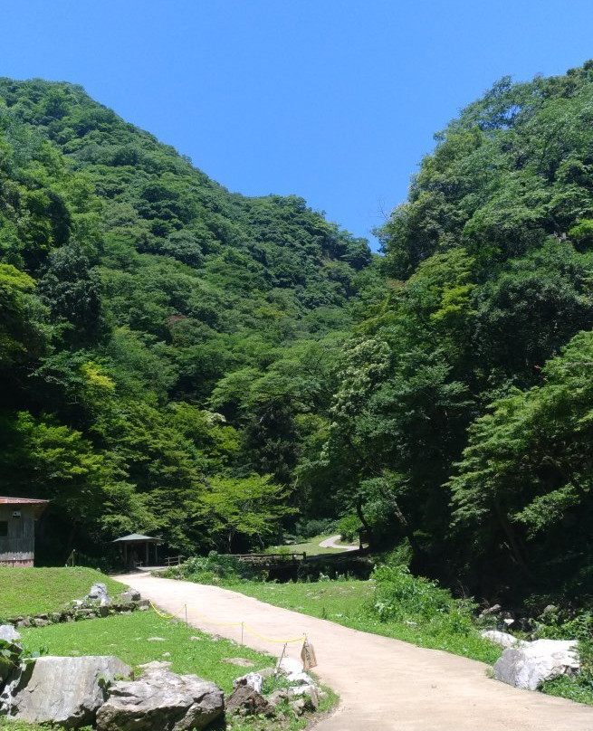Kamba Falls景点图片