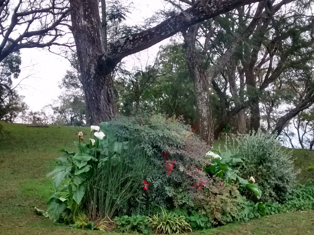 Cerro San Bernardo-萨尔塔必去景点
