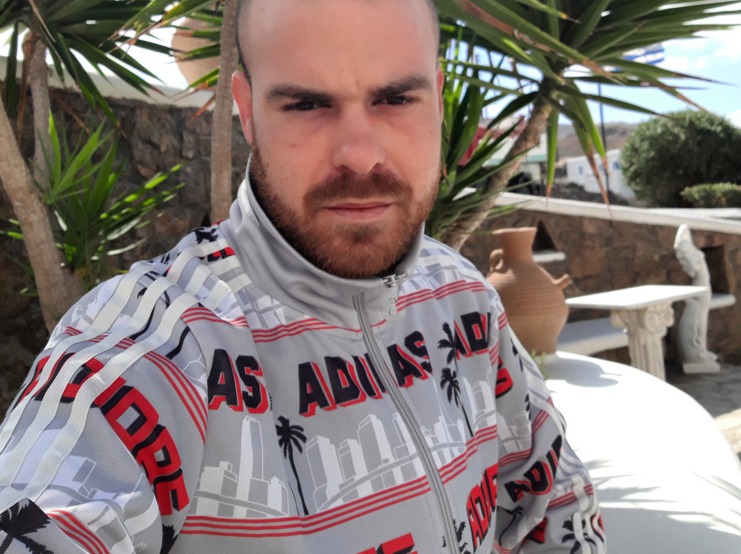 Palmyra Studios主图