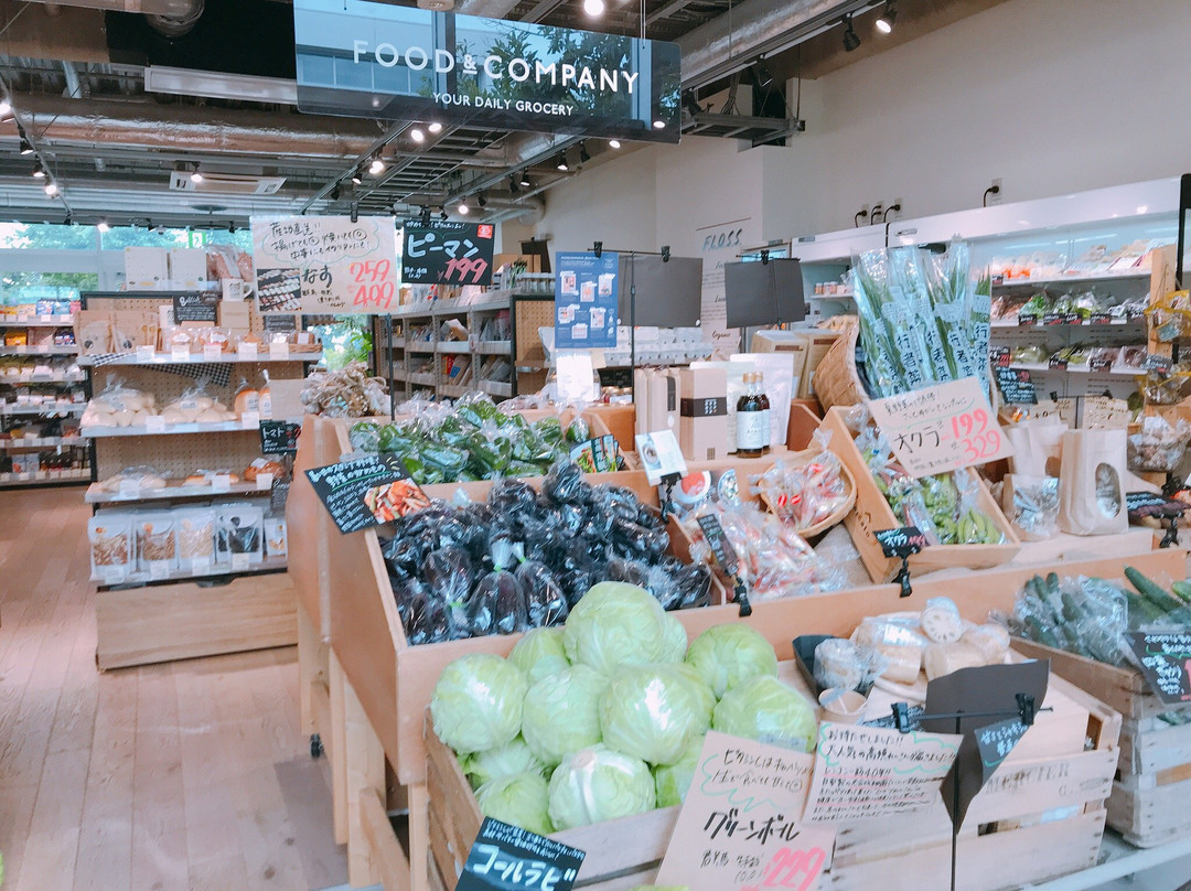 Shonan T-Site-藤泽市必去景点