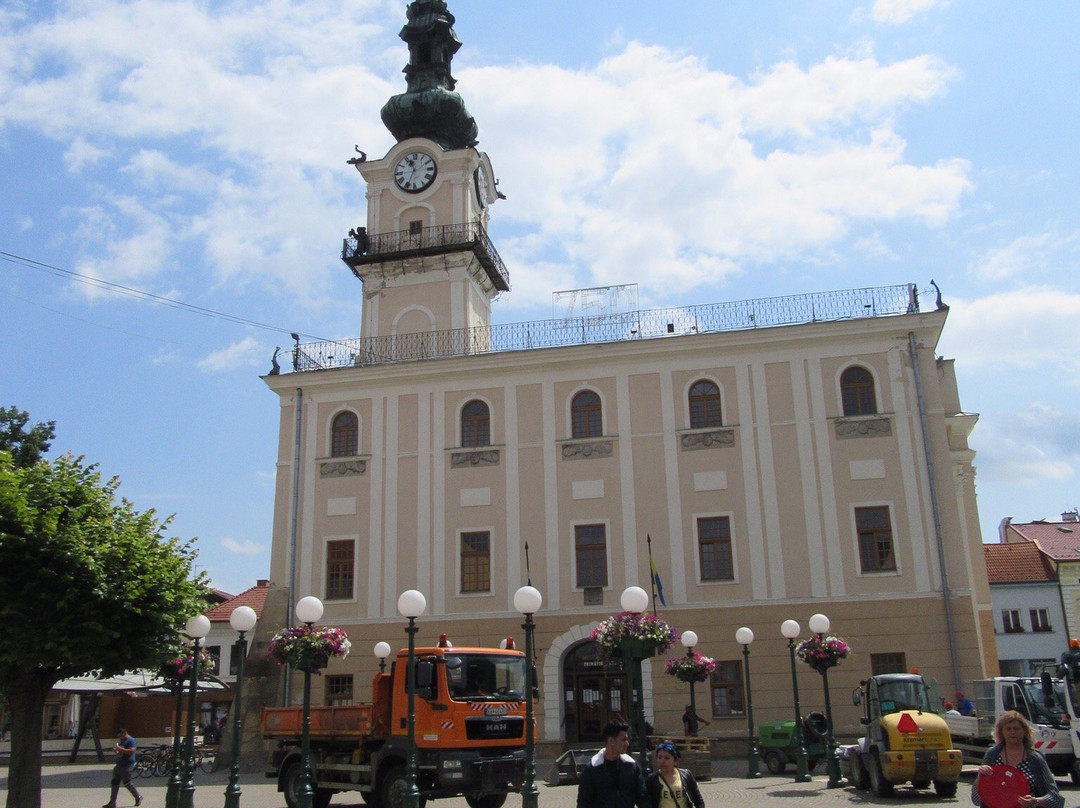 Kezmarok Town Hall景点图片