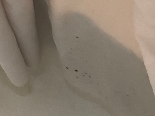 Quality Inn & Suites主图