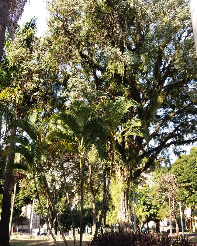 Praça Carlos Gomes-坎皮纳斯必去景点