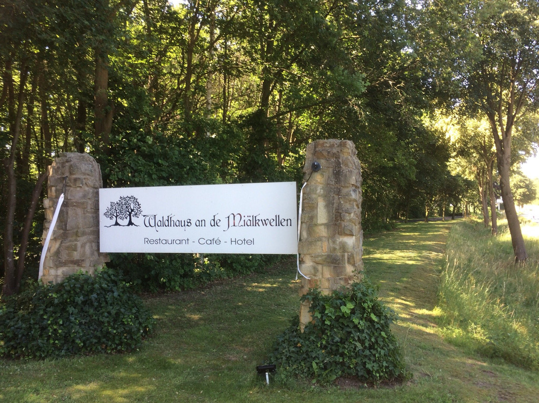 Waldhaus an de Miaelkwellen主图