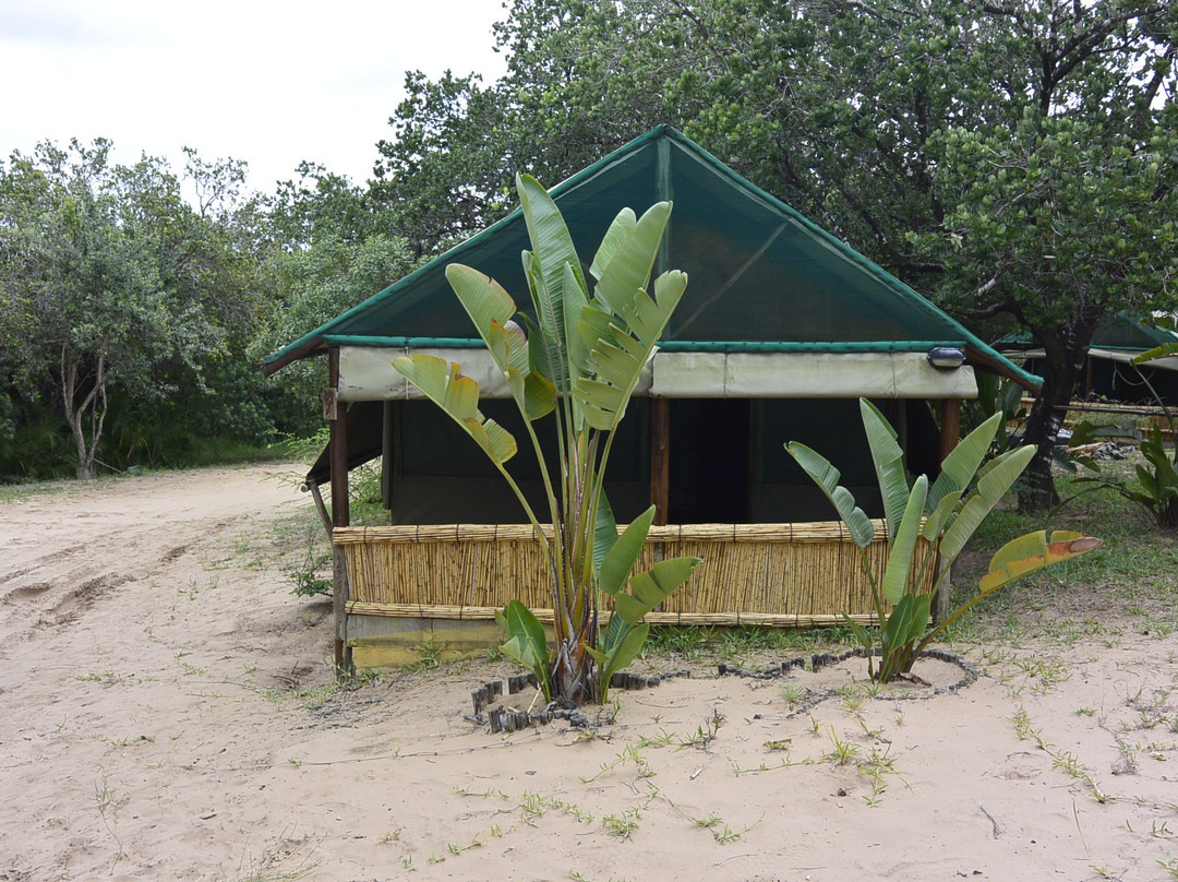 Amangwane Tented Camp主图